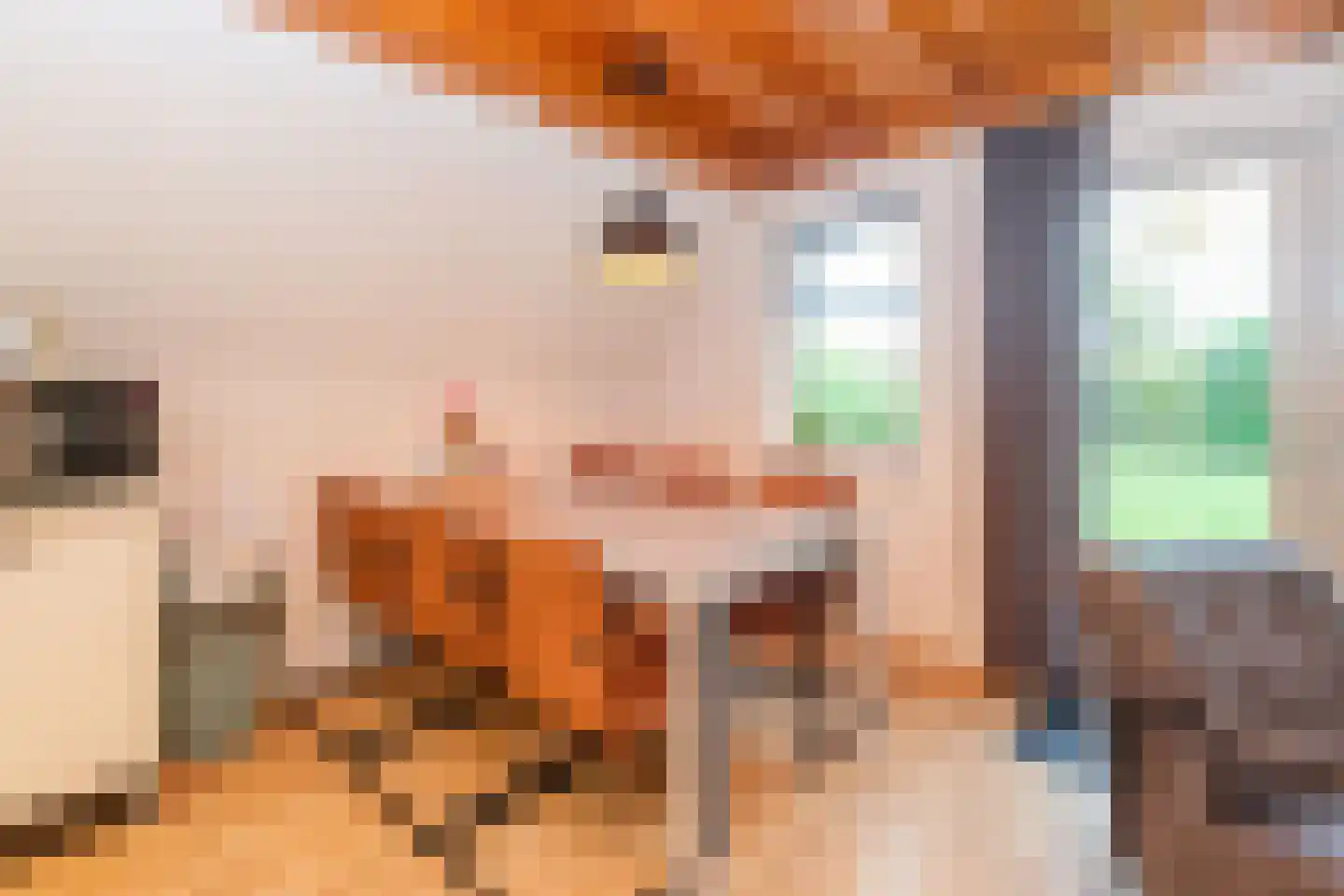 Boslaan 1 R80 Gramsbergen thumbnail 11