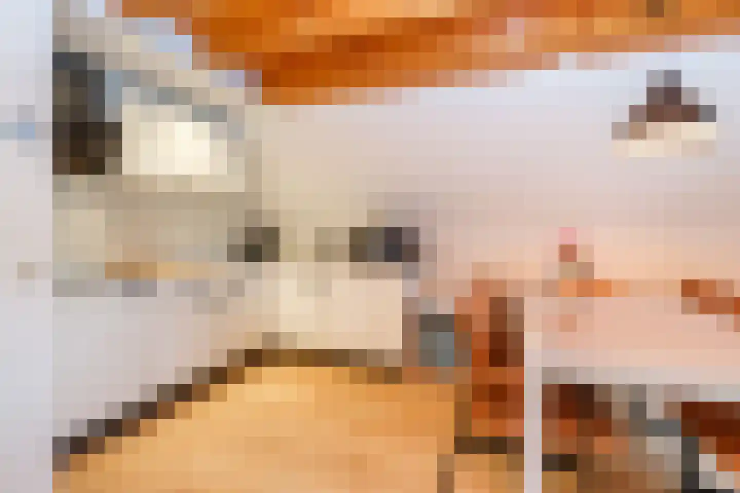 Boslaan 1 R80 Gramsbergen thumbnail 12