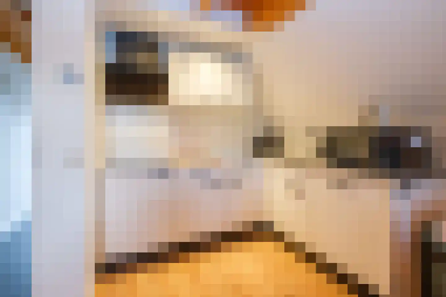 Boslaan 1 R80 Gramsbergen thumbnail 13