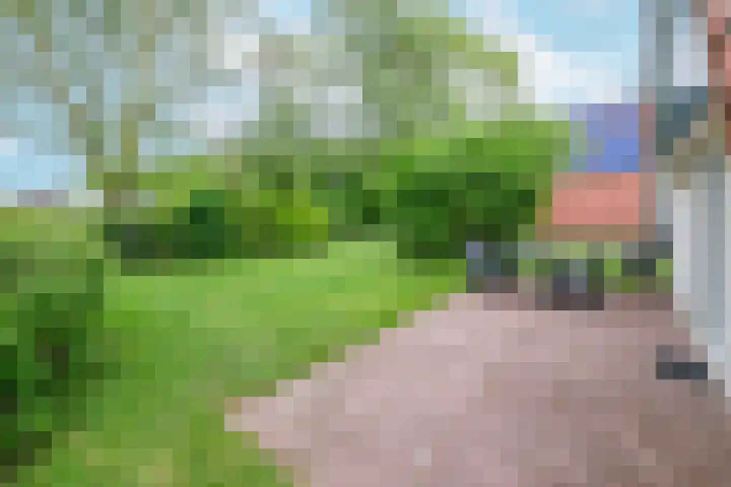 Boslaan 1 R80 Gramsbergen thumbnail 23