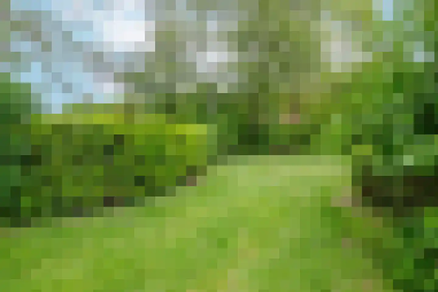 Boslaan 1 R80 Gramsbergen thumbnail 27