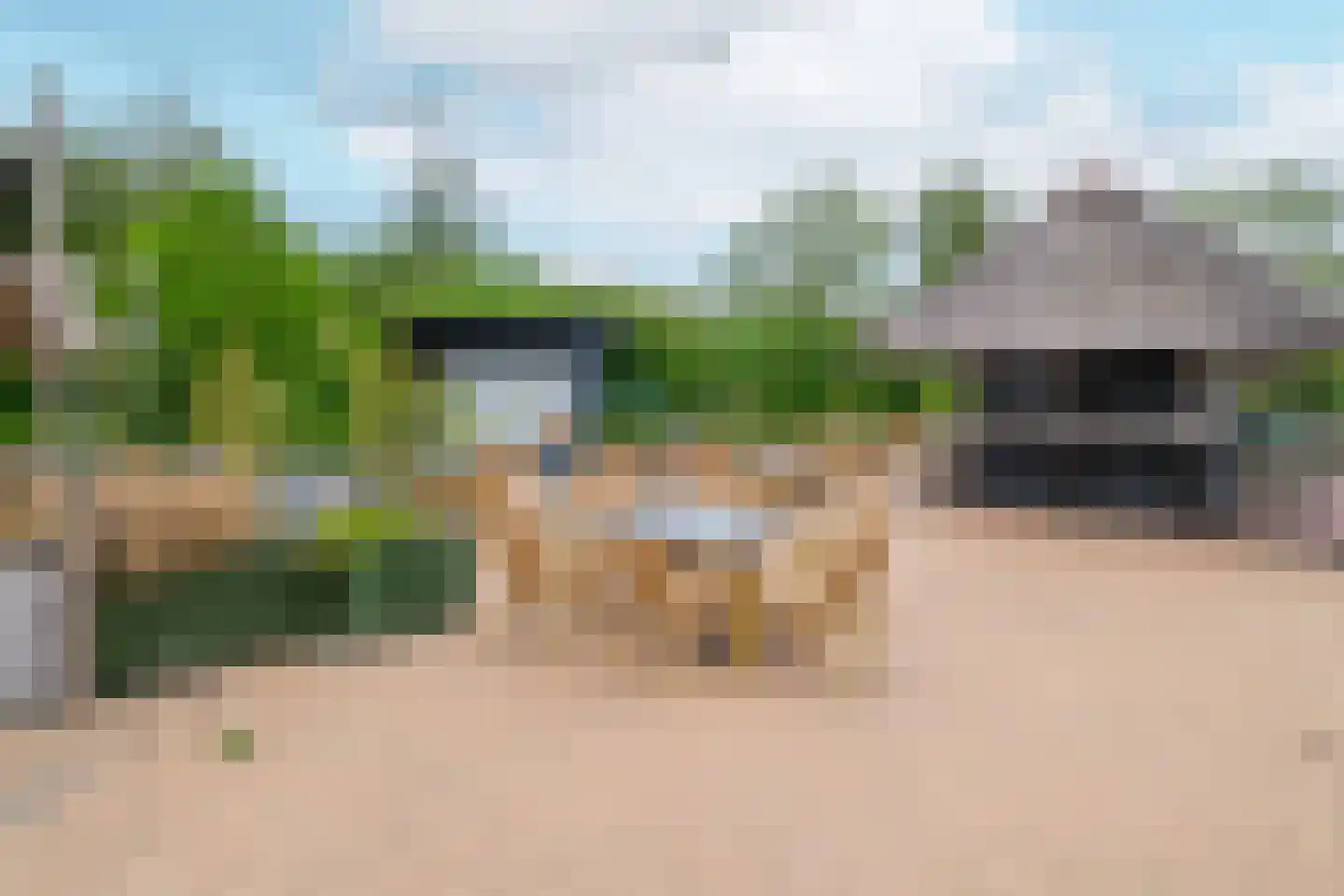 Boslaan 1 R80 Gramsbergen thumbnail 31
