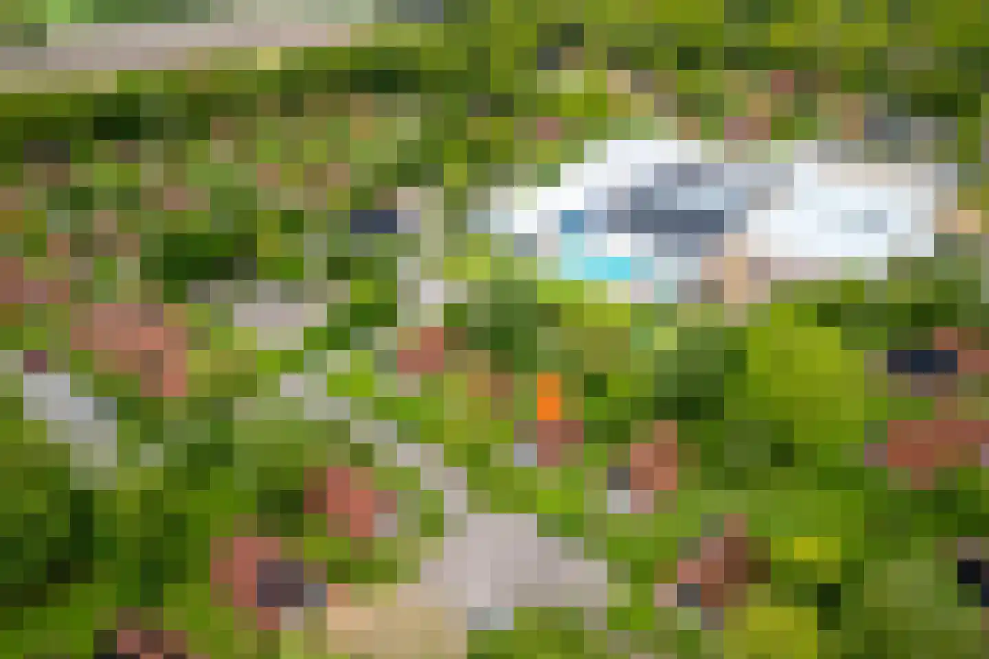 Boslaan 1 R80 Gramsbergen thumbnail 34