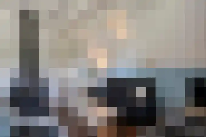 Boslaan 1 R95 Gramsbergen thumbnail 10