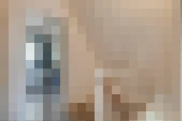 Boslaan 1 R95 Gramsbergen thumbnail 11