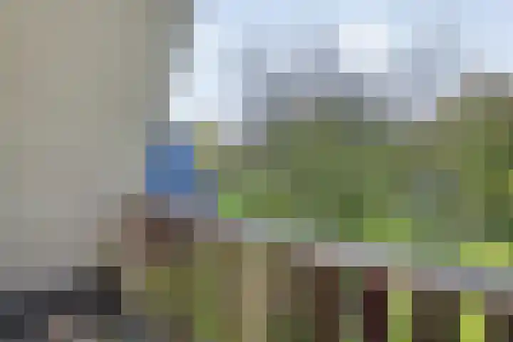 Boslaan 1 R95 Gramsbergen thumbnail 15