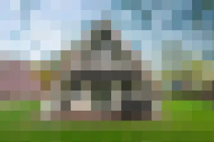 Boslaan 1 R95 Gramsbergen thumbnail 16