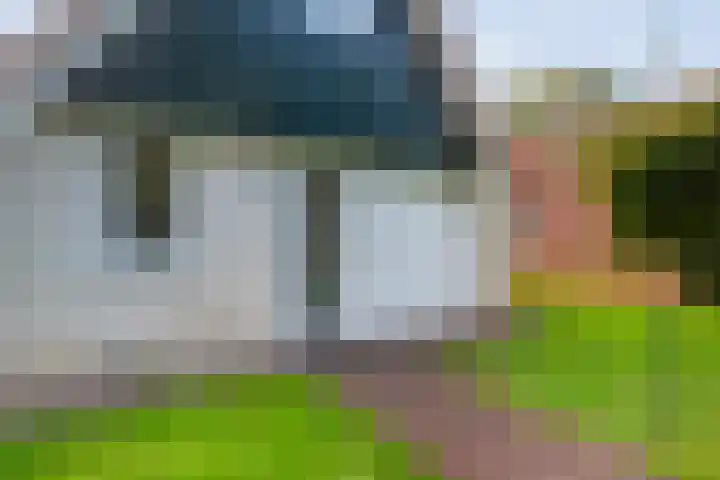 Boslaan 1 R95 Gramsbergen thumbnail 5