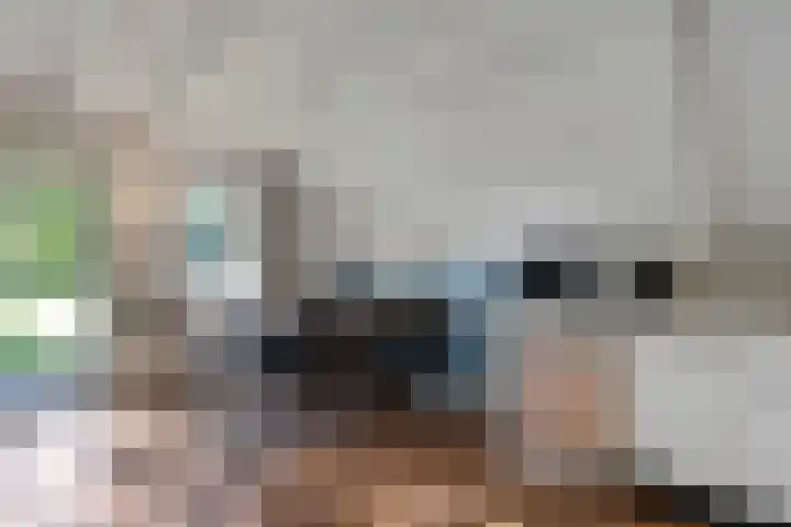 Boslaan 1 R95 Gramsbergen thumbnail 7