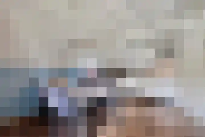 Boslaan 1 R95 Gramsbergen thumbnail 8