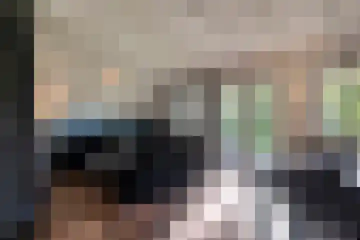 Boslaan 1 R95 Gramsbergen thumbnail 9
