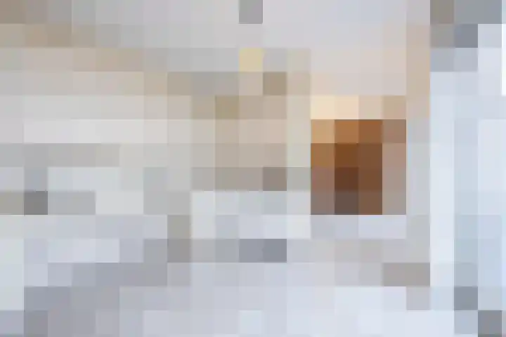 Boslaan 10 C Best thumbnail 13