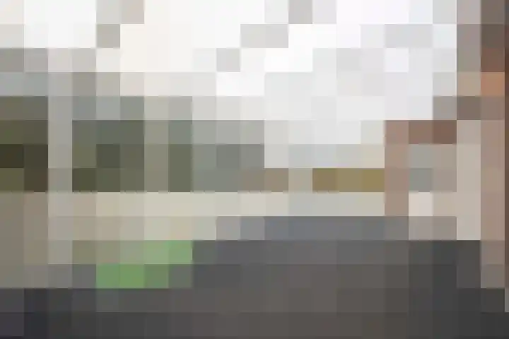 Boslaan 10 C Best thumbnail 17