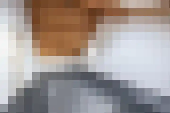 Boslaan 10 C Best thumbnail 22