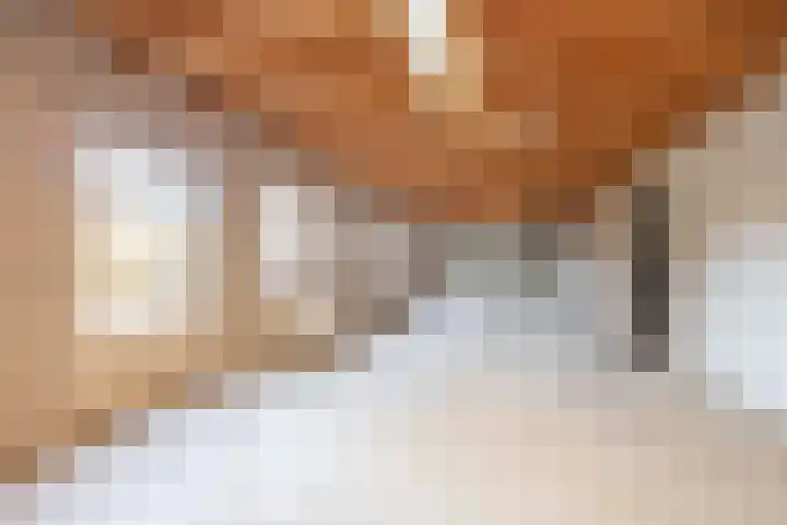 Boslaan 10 C Best thumbnail 26