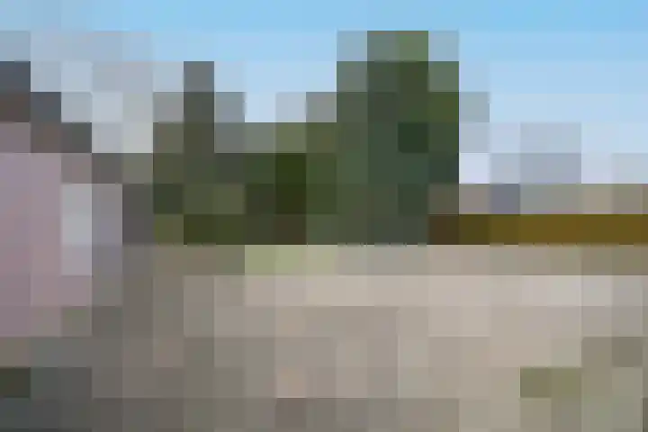 Boslaan 10 C Best thumbnail 27