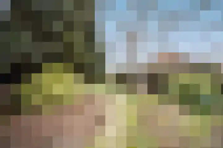 Boslaan 10 C Best thumbnail 30