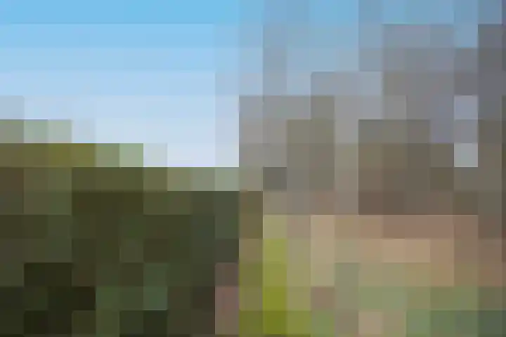 Boslaan 10 C Best thumbnail 31