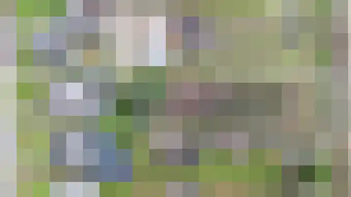Boslaan 10 C Best thumbnail 32