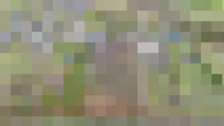 Boslaan 10 C Best thumbnail 33