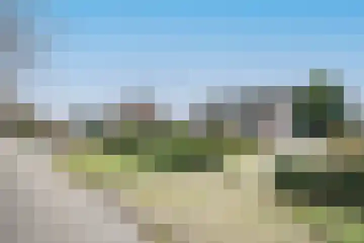 Boslaan 10 C Best thumbnail 34