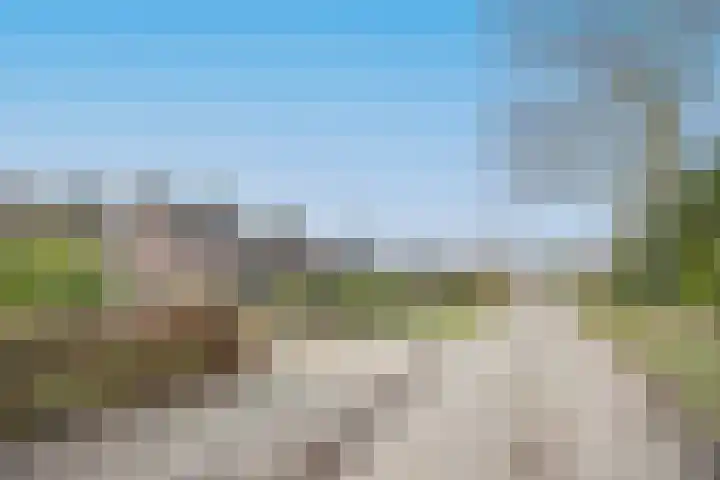 Boslaan 10 C Best thumbnail 35