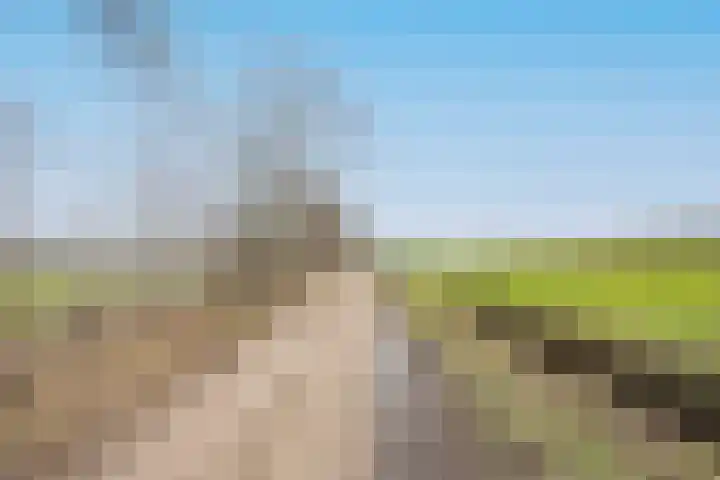 Boslaan 10 C Best thumbnail 37