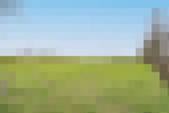 Boslaan 10 C Best thumbnail 38