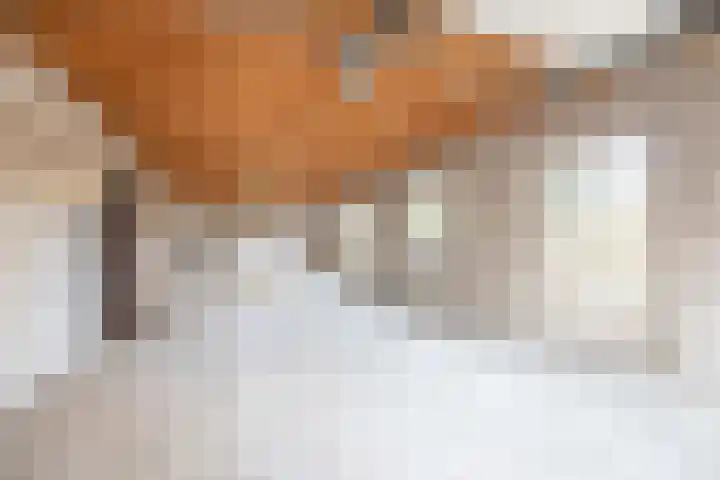 Boslaan 10 C Best thumbnail 4