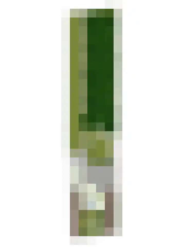 Boslaan 10 C Best thumbnail 41
