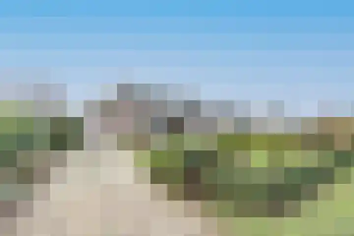 Boslaan 10 C Best thumbnail 7