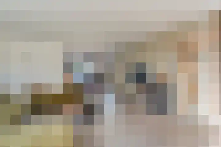 Boslaan 10 Hardenberg thumbnail 16