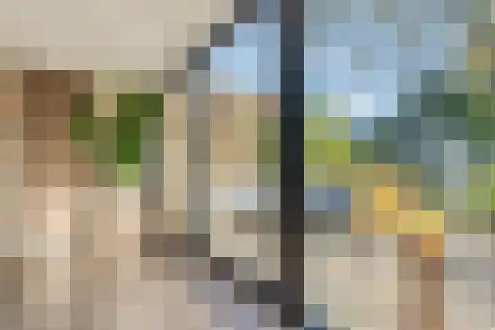 Boslaan 10 Hardenberg thumbnail 17