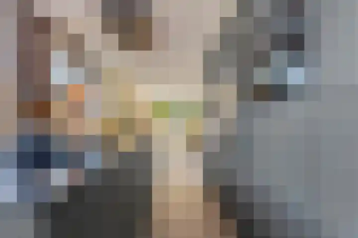 Boslaan 10 Hardenberg thumbnail 19