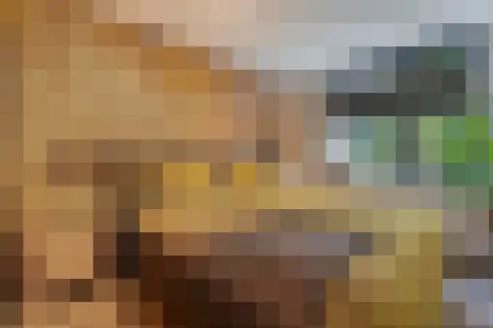 Boslaan 10 Hardenberg thumbnail 28