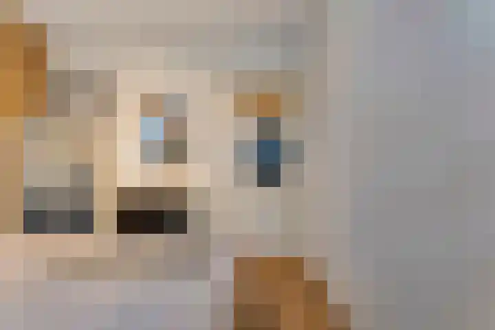 Boslaan 10 Hardenberg thumbnail 33