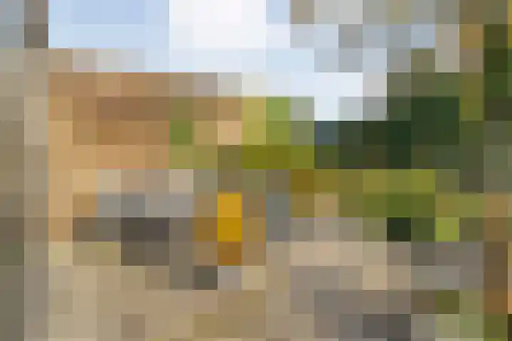 Boslaan 10 Hardenberg thumbnail 37