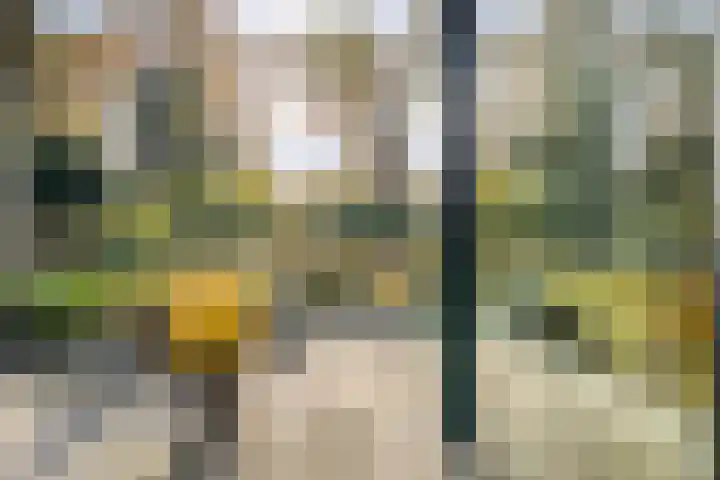 Boslaan 10 Hardenberg thumbnail 38