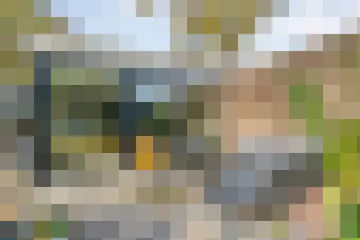 Boslaan 10 Hardenberg thumbnail 39