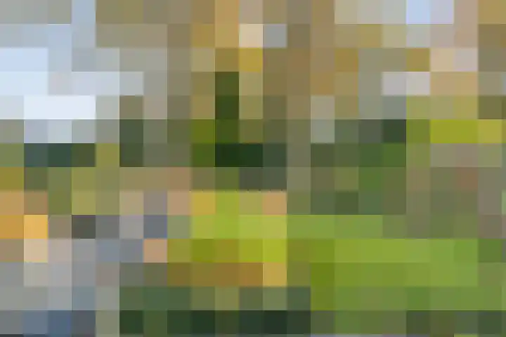 Boslaan 10 Hardenberg thumbnail 4