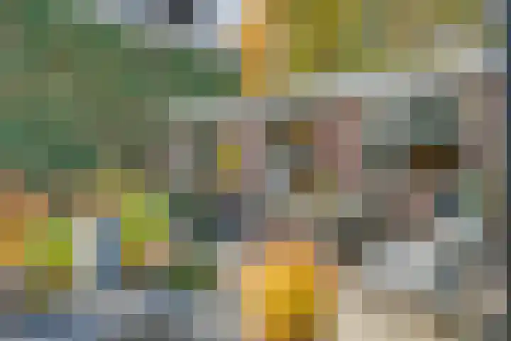 Boslaan 10 Hardenberg thumbnail 40
