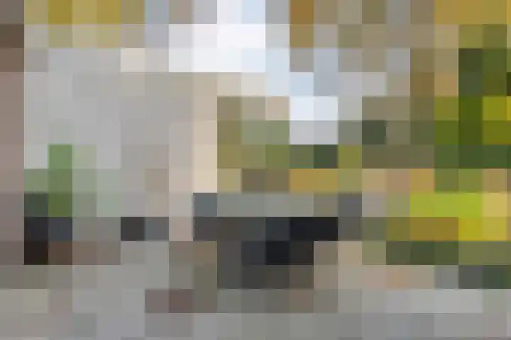 Boslaan 10 Hardenberg thumbnail 41