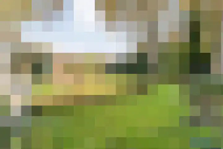 Boslaan 10 Hardenberg thumbnail 43