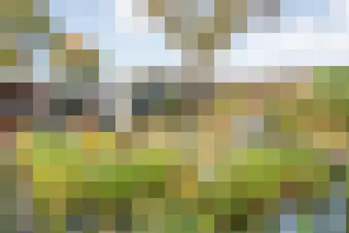 Boslaan 10 Hardenberg thumbnail 44