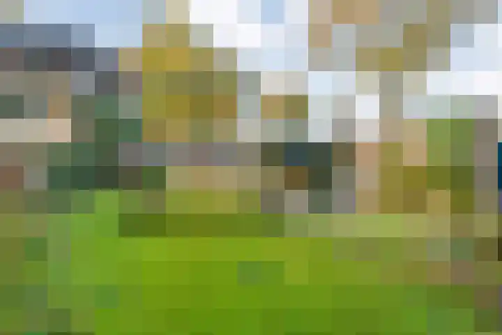 Boslaan 10 Hardenberg thumbnail 45
