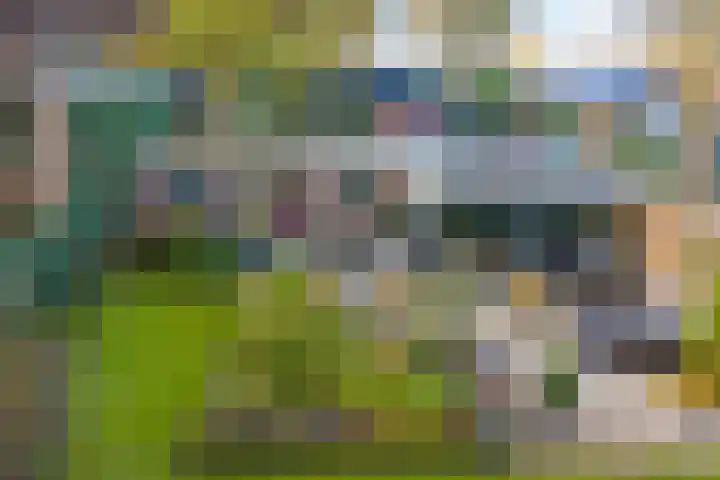 Boslaan 10 Hardenberg thumbnail 46