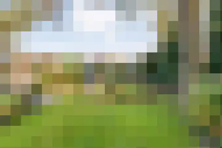 Boslaan 10 Hardenberg thumbnail 47