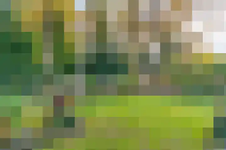 Boslaan 10 Hardenberg thumbnail 48