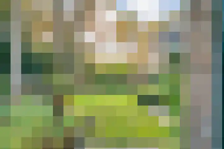 Boslaan 10 Hardenberg thumbnail 49
