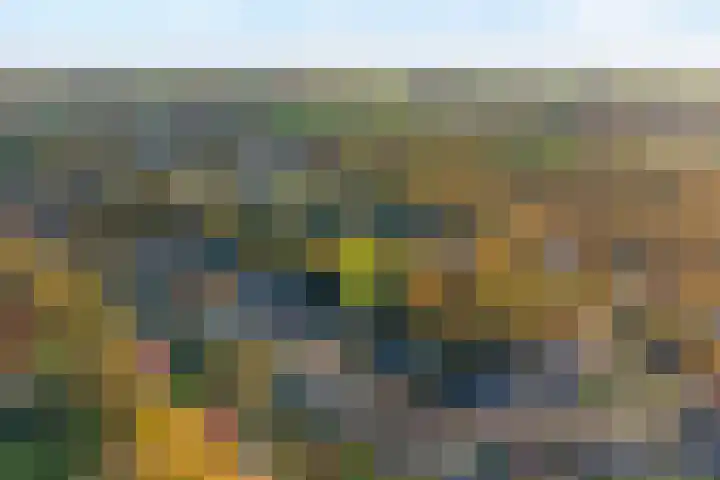 Boslaan 10 Hardenberg thumbnail 5